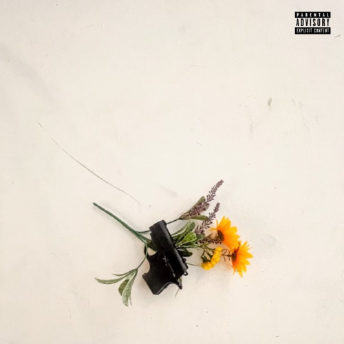 Stream Glocks and Tulips - Earlee Riser by ...arooomfullofmirrors ...