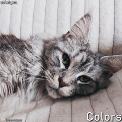 Colors