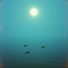 Fishers of Men