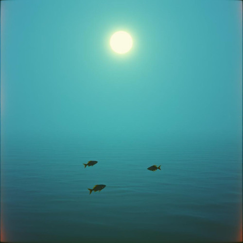 Fishers of Men