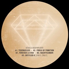 Remco Beekwilder - Nachtvlinder