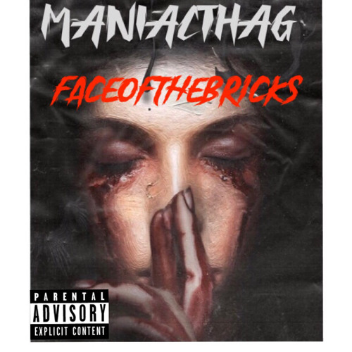 maniac---face-of-the-bricks