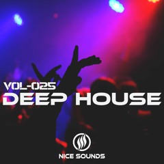 Deep House Mix | Nice Sounds - Vol-025 | Best Deep House | Chill House Music