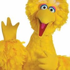 Big Bird Eat First