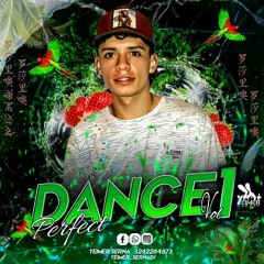 DANCE PERFECT