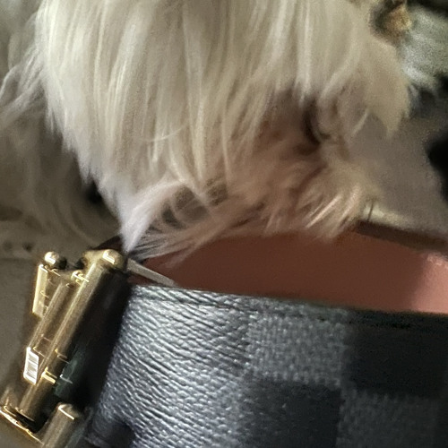 doobie ft. aahmari & vlone