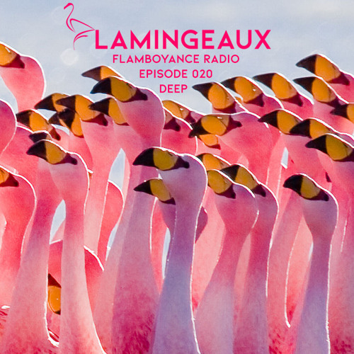 Flamboyance Radio Ep020