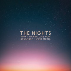 The Nights (Don't Wanna Lose You) [w/ Spirit Motel]