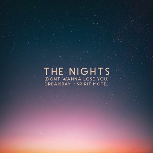 The Nights (Don't Wanna Lose You) [w/ Spirit Motel]