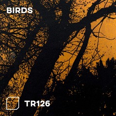 TR126 - Birds