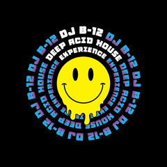 DJ B-12 Deep Acid House Experience #20