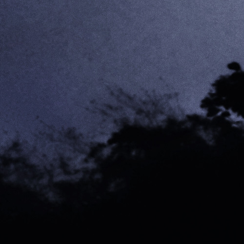 _blinker