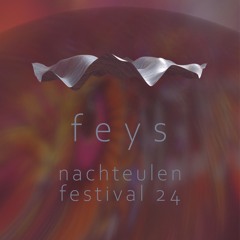 feys @ nachteulen festival 2024