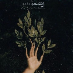 Zakhmeh / زخمه