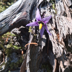 I Can Feel Your Energy