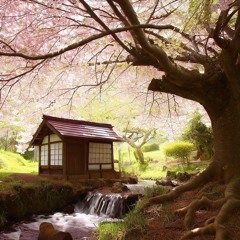 In a Japanese garden