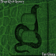 Tayydanavy X TrapRixhLooney - SlimeStyle (Prod.Dkoolin x Yunghurricane)