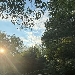 Cheese (prod TearsAllDried)