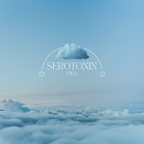 Serotonin 2