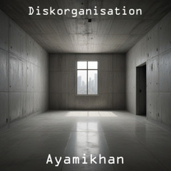 Diskorganisation