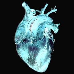 the heart wants what it wants