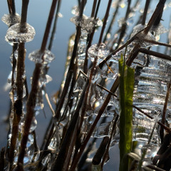 Harsh Bubbles (unmastered home snippet)