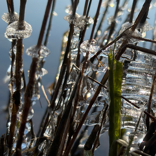 Harsh Bubbles (unmastered home snippet)