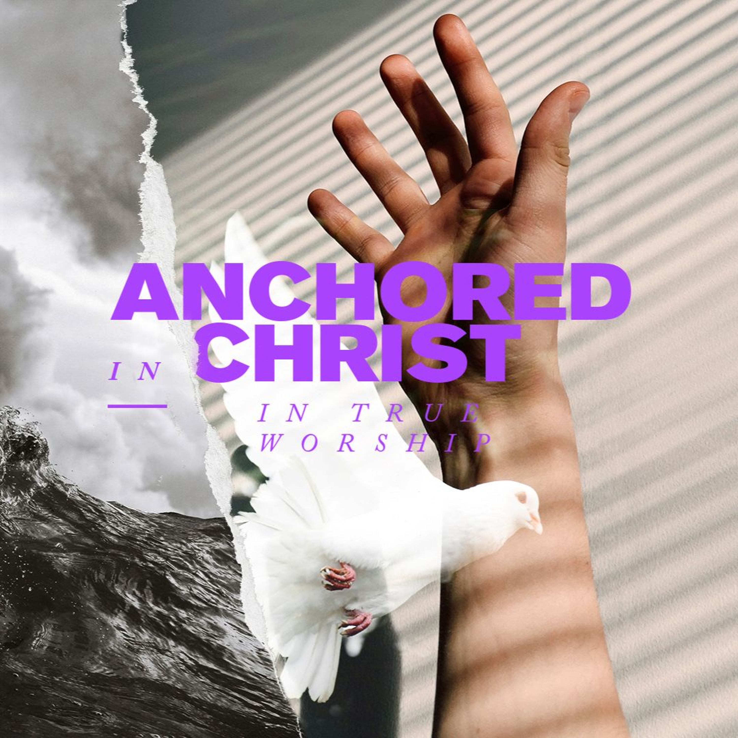 24/11/03 | Anchored In True Worship | Dave Schnitter episode artwork