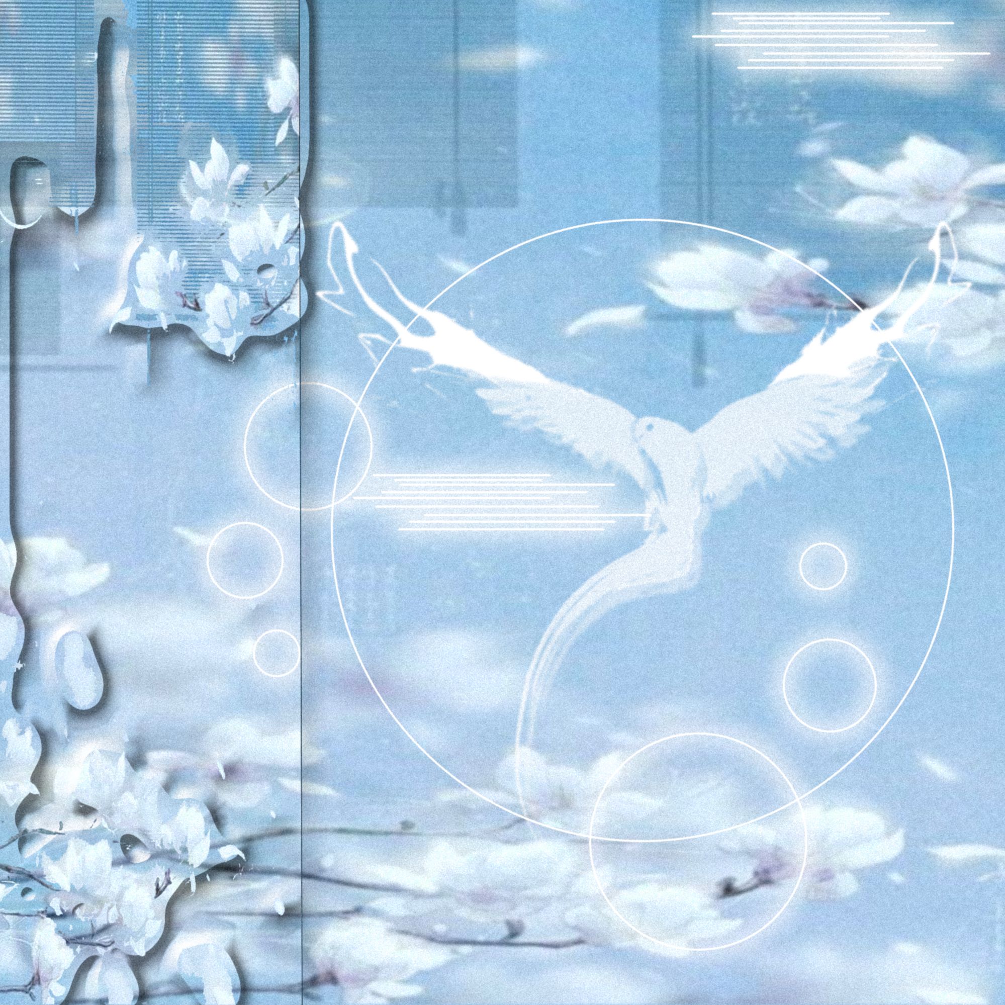 Dua Lity – See You, Bye Bye