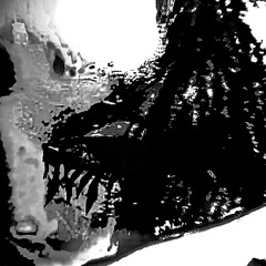 I COUNT MY BODYS BLUFFS