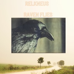 Raven Flies