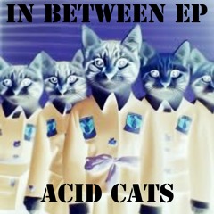 Acid Cats - Bus Wankers