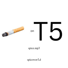 fuck t5