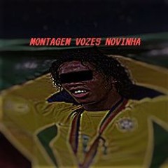 MONTAGEM VOZES NOVINHA