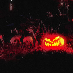 BIRDZ EYE < @888NUMA >