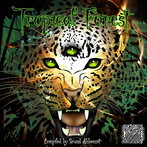 H24 - Terrarium(VA - Tropical Forest / Isotropic Sounds Records)