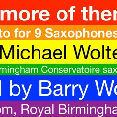 Queer Concerto (There are more of them than us) for 9 Saxophones and Orchestra