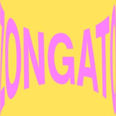 Iñigo Vontier - Zongato