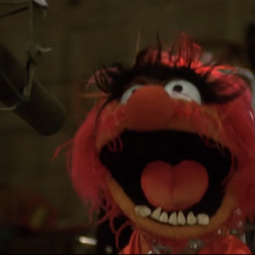 we're doing a sequel     -muppets most wanted-
