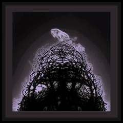 new chapter v1 prod chrxmetec+zinq.