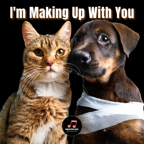 I'm Making Up With You