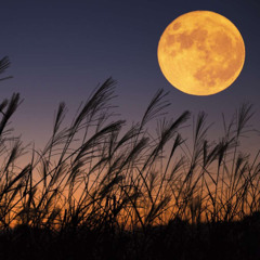 @krypticpiracy x mku - harvest moon