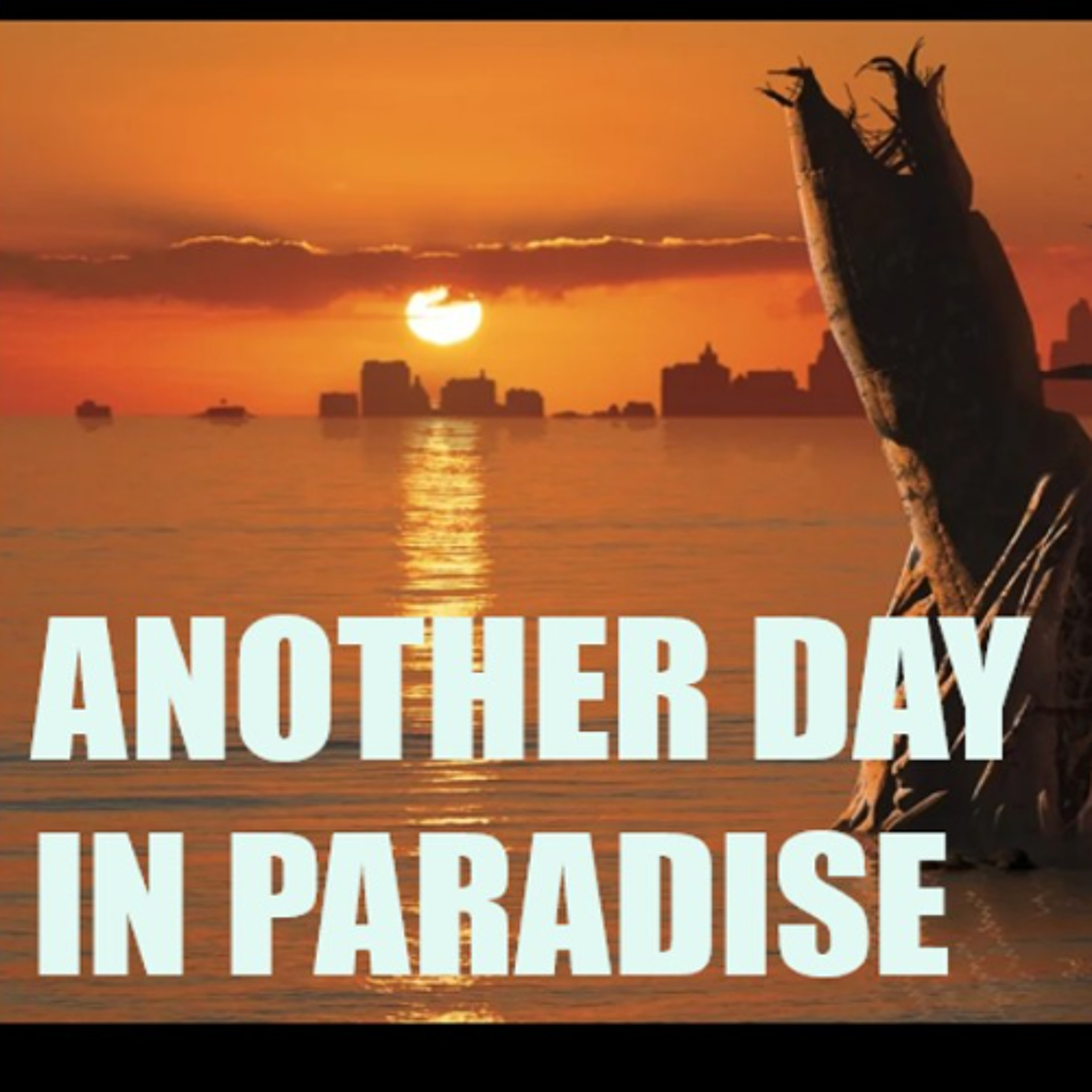Show sample for 5/6/25: ANOTHER DAY IN PARADISE W/ JAMES PONDER