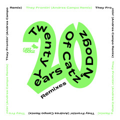 They Frontin' (Andres Campo Remix) [feat. Monty Luke]