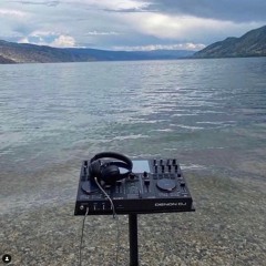 Nage poursuite avec une harpie