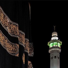 وَإِلَّا تَغْفِرْ لِي وَتَرْحَمْنِي | سورة هود | القارئ محمد عبادة