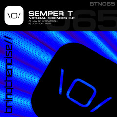 Semper T. - Light Of Dawn (Promo)