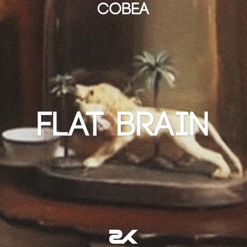 CoBea & Sven Kleer - Flat Brain