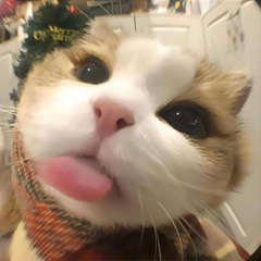 Не молчите