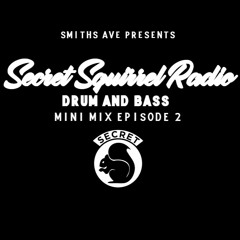 Secret Squirrel DNB Mini Mix EP 2